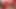 Naylon çoraplı sürtük sarışın dölle kaplı