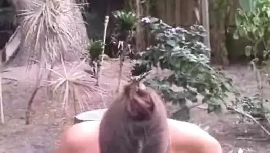 Busty esmer milf sikikleri dışında