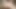 Bir kız battaniyenin altında ıslak amına mastürbasyon yapıyor ve seksi bir şekilde inliyor