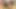 Fucked my stepdaughter tits on the floor and cum in her small mouth