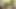 Klasik retro Alman amatör günlük porno dozunuz