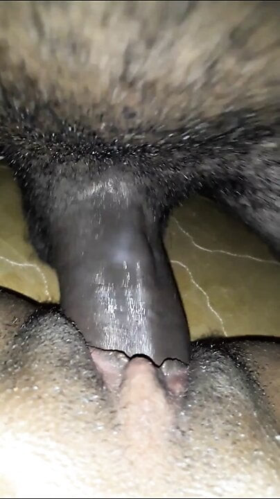 açık KEDİ ile bbc