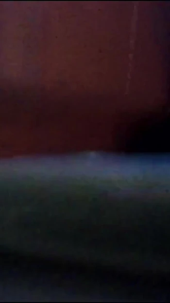 Волнующий момент из "Индийская жена и романтика Муженда"