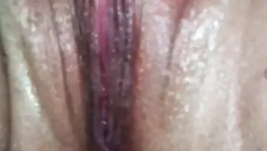 ıslak beyaz KEDİ oynama