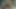 Büyük bbc için sıkı pembe açın