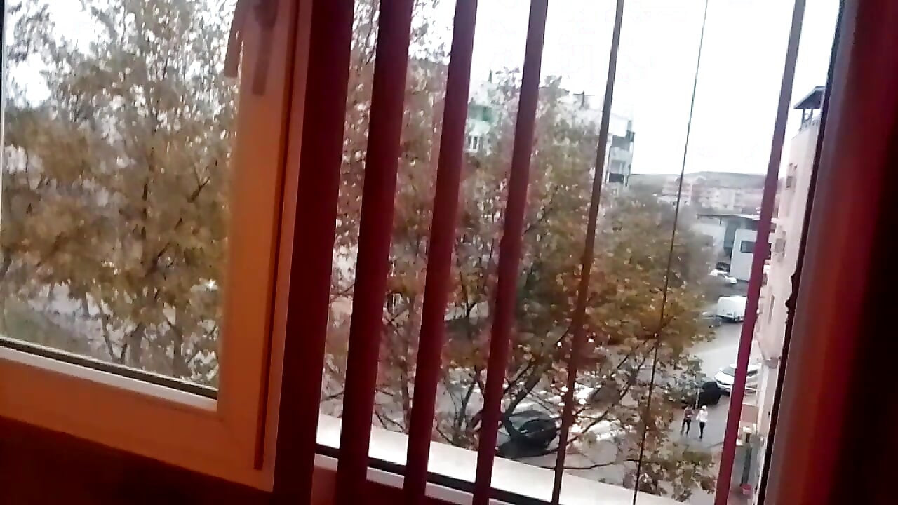 Ziyaret eden kaltak