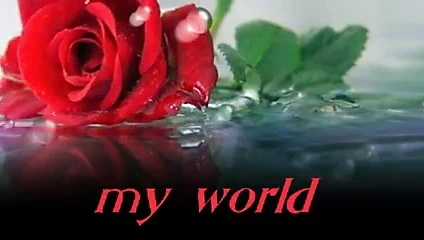 Bayan için çiçekler