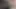 Voila Comment Ce Une Visio Avec Ma Chienne'i geçiyor