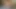 KEDİ olduğunu her zaman aç için ham horoz