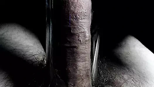 Yavaş pompalayan damarlı yarak yakın çekim