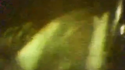 kamu araba oral seks