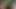 Kişisel antrenörümü baştan çıkarmamı ve tüm döllerini 💦🤤🏋️ ♀️ yutmamı izle