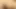 Porno inek: Sydney: ırklararası amcık
