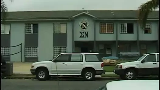 Sarışın bal gets ona kedi dövülerek ile şişman tatlı çük