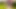 Parlak neon ışıklarının altında vahşi dans eden oyuncu travesti