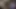 Dövmeli damızlık yakın çekim bir çekimde onun horoz emdi sahip olmaktan hoşlanır