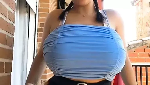 büyük baştankara salvador