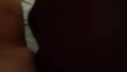 Daha fazla beyaz kedi yeme