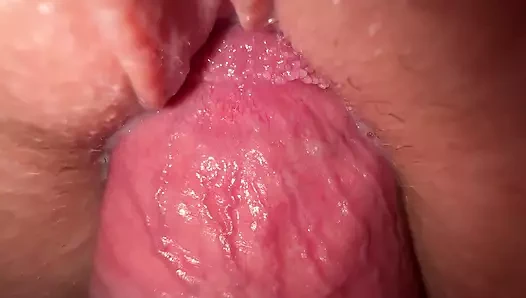 Sikme sıcak üvey kızkardeş, kedi yalama ve kremsi yakın çekim sikme