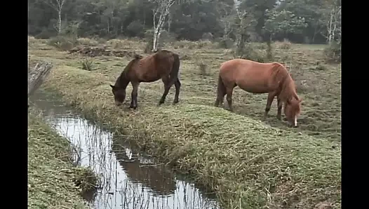 Eşcinsel aşık - bölüm 4