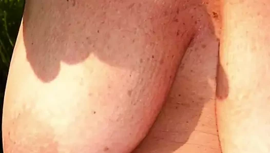 yağ asılı memeler