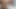Zengin kız öğrenci kalçası Tamil'de sikiliyor gerçek ev yapımı Hintli seks Hintli yenge ile x videolarda
