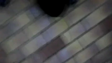 Birkenstock, Strumpfhose, Pumps, Nylons, Wixen6