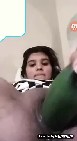 Desi dik Hint bebek olduğunu yani dik ile ona kedi