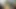 Küçük Alice yarağını istiyor 4k