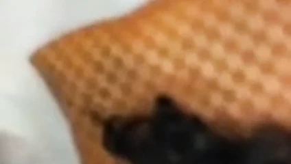 Desi yenge çıplak yakalama