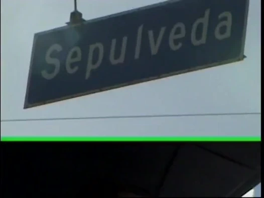 Dinç abanoz seviyor Başlarken ona kedi gergin tarafından beyaz horoz