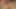 Güzel transeksüel travesti büyük seksi yarağını şanslı adamın deliğine sokuyor