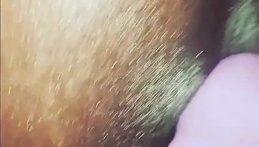 Islak kremsi titreşimler!!