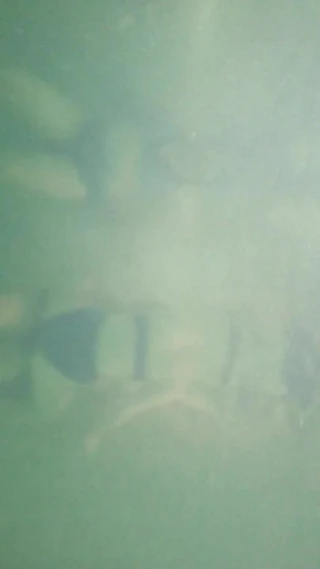 Halka açık havuzda sualtı