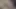 Horney sult domaltmalı sert seks büyük siyah yarak