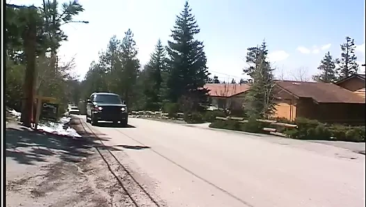 Taylor lynn seyahat sürtük olmayı seviyor