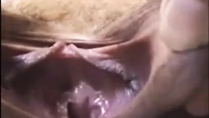 Alessandra Aparecida da Costa Vital 107i