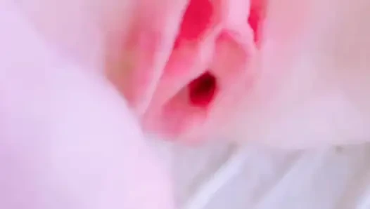 Malezyalı liseli kız pembe amcık
