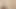 zenci onlyfans freebie