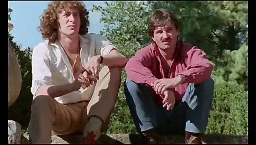 Les Grande Vicelardes (1979)