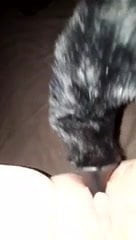 Plug dans la chatte