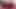 Mandy Richie'nin yüzüne oturmak için tüm pozisyonları deniyor
