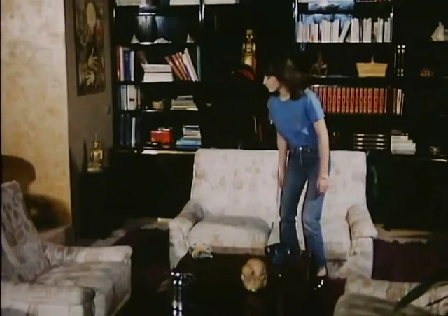 Stéphanie Recto-verso (1978), aynı zamanda French Love olarak da bilinir