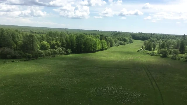 Жена трахается и стонет на улице