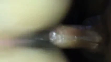 Köpek stili süper ıslak kedi