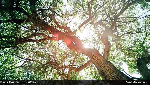 Sarışın ünlü teresa palmer çıplak ve romantik seks video