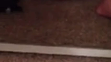 Filipinli sürtme ıslak kedi