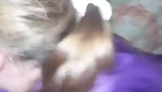 Michele 2 musluklar üzerinde lockdown