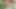 Ateşli olgun desi Hintli derin anal zevk