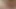 Onu kedi bir kunduz tarafından traş bulundu